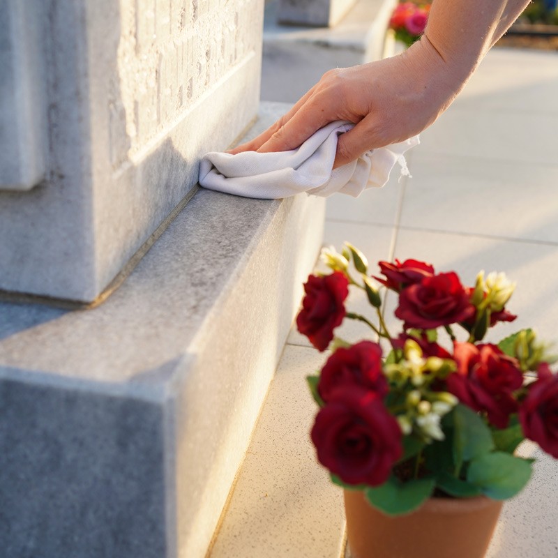 Pack arrosage bisannuel + nettoyage + coupe 5 plants