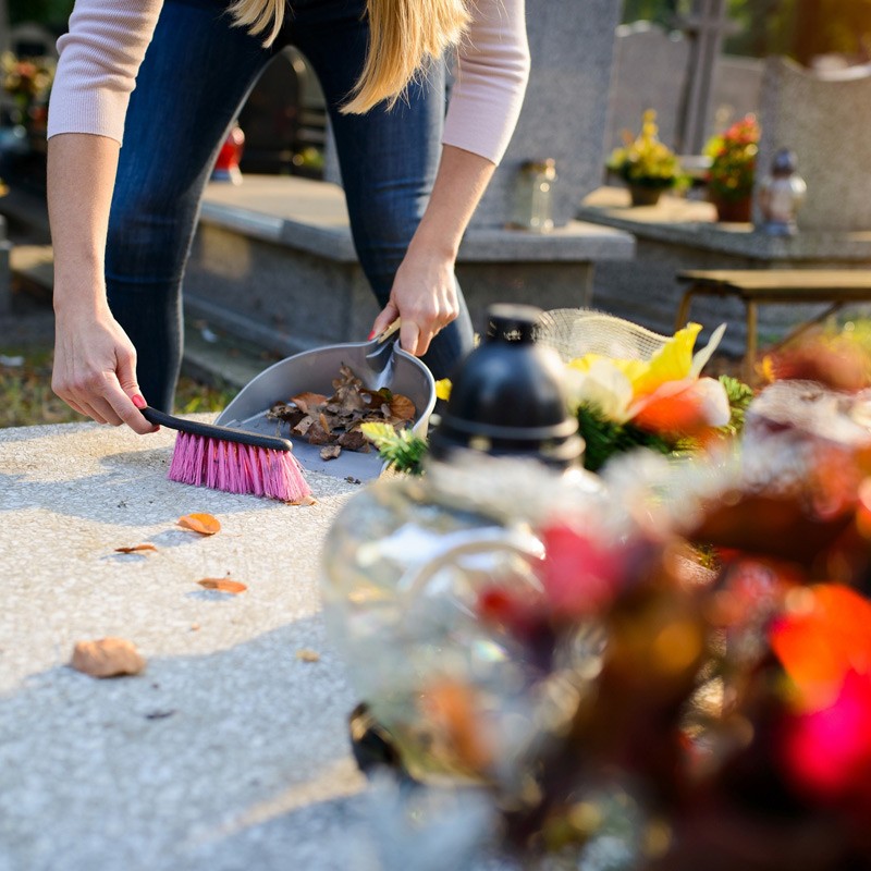 Pack arrosage 6 mois + nettoyage bisannuel + coupe 5 plants